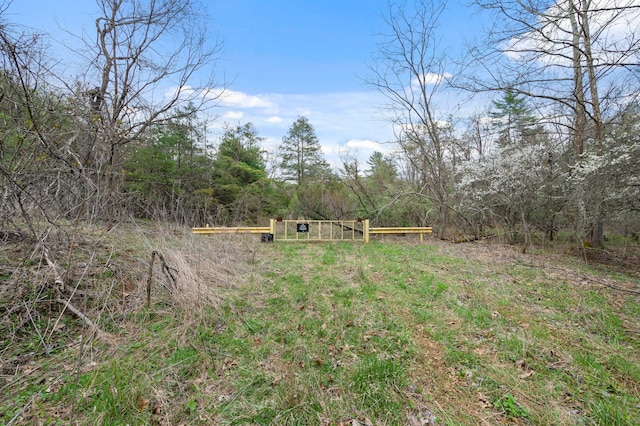 0 Cole Mountain Rd, Hiwassee VA, 24347 land for sale