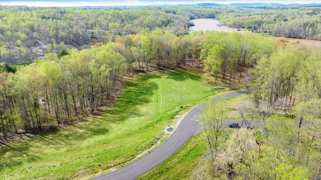 LOT57 Crestview Rd, Wirtz VA, 24184 land for sale