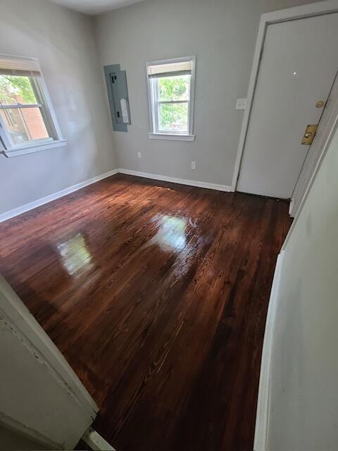 interior space featuring electric panel, baseboards, and dark wood-style flooring