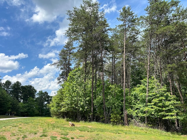 Listing photo 2 for LOT44 Jasper Ln, Gretna VA 24557