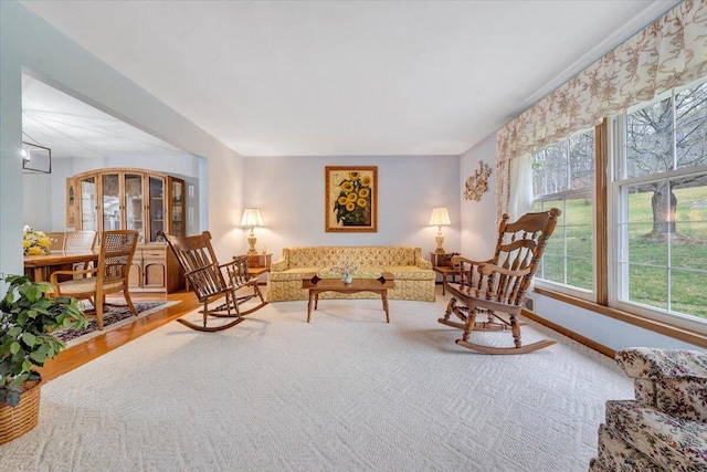 living room featuring wood-type flooring