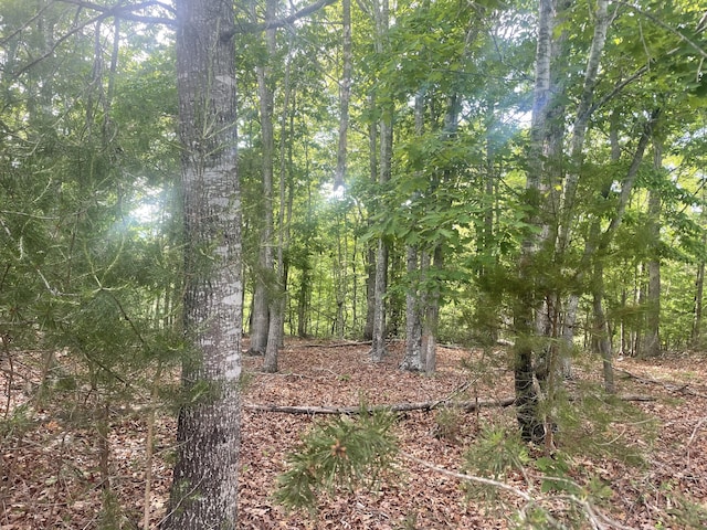 Listing photo 3 for LOT19 Robin Ridge Ct, Pittsville VA 24139