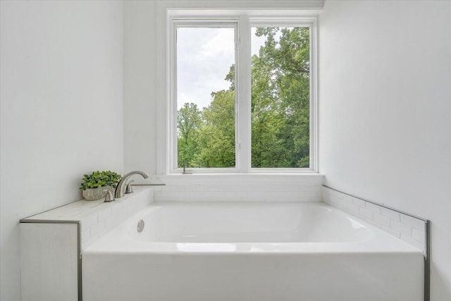 bathroom with a washtub