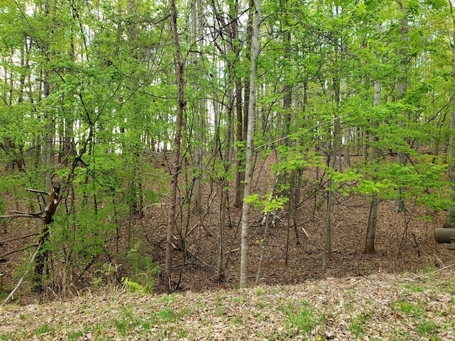 LOT9 Crawford Dr, Moneta VA, 24121 land for sale