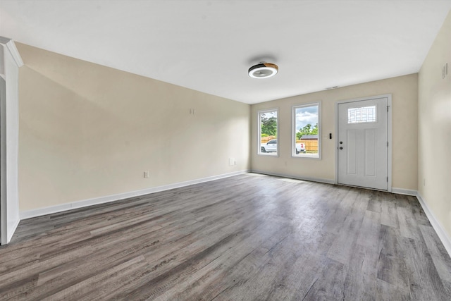 foyer featuring wood-type flooring