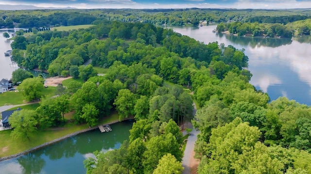 LOT10 Horseshoe Bend Rd, Goodview, VA 24095