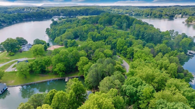 LOT10 Horseshoe Bend Rd, Goodview, VA 24095