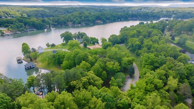 LOT10 Horseshoe Bend Rd, Goodview, VA 24095