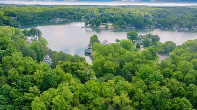 LOT10 Horseshoe Bend Rd, Goodview, VA 24095