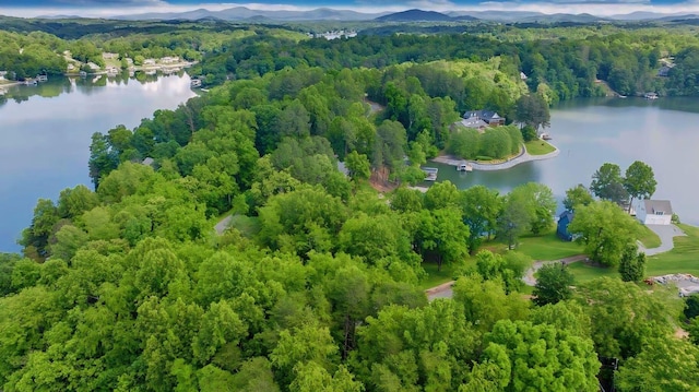LOT10 Horseshoe Bend Rd, Goodview, VA 24095