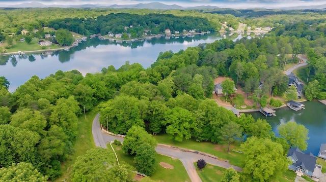 LOT10 Horseshoe Bend Rd, Goodview, VA 24095