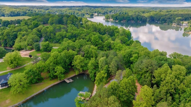 LOT10 Horseshoe Bend Rd, Goodview, VA 24095