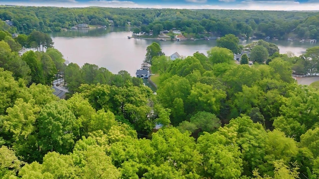 LOT10 Horseshoe Bend Rd, Goodview, VA 24095