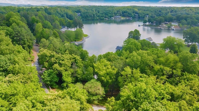 LOT10 Horseshoe Bend Rd, Goodview, VA 24095