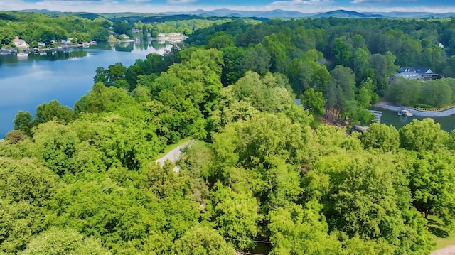 LOT10 Horseshoe Bend Rd, Goodview, VA 24095