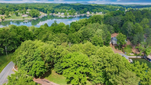 LOT10 Horseshoe Bend Rd, Goodview, VA 24095