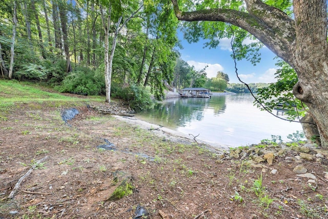 LOT10 Horseshoe Bend Rd, Goodview, VA 24095