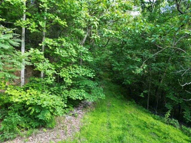 Listing photo 3 for 00 Masons Knob Rd, Boones Mill VA 24065