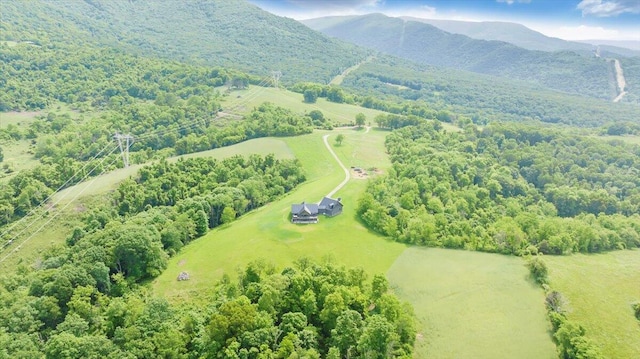 birds eye view of property featuring a mountain view