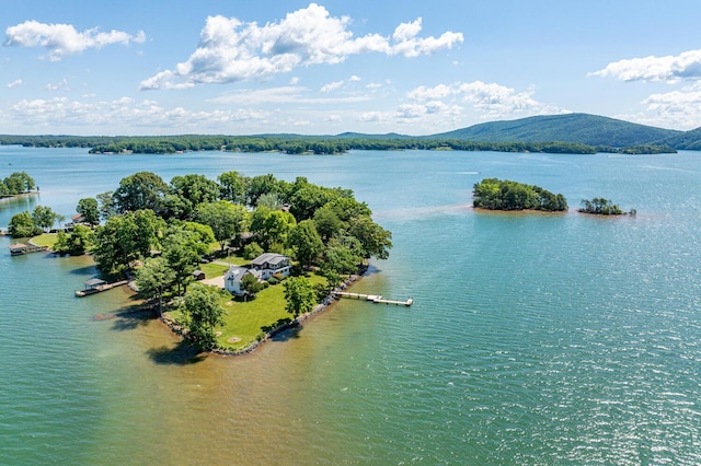 311 Anthony Home Rd, Huddleston, VA 24104 - drone / aerial view with a water and mountain view