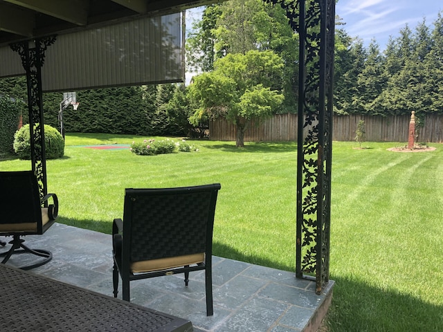 view of yard featuring a patio