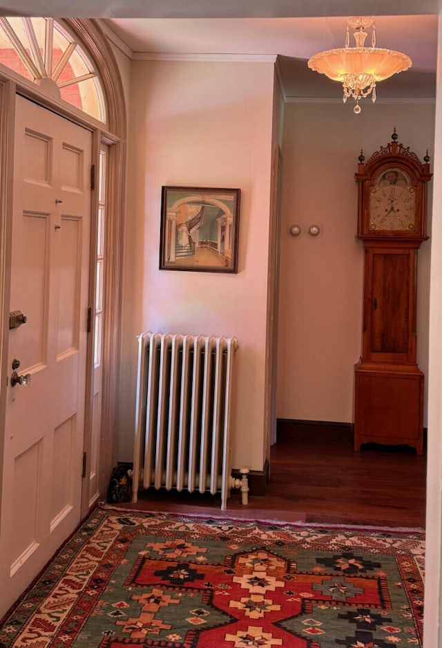 foyer featuring a notable chandelier, dark hardwood / wood-style flooring, crown molding, and radiator