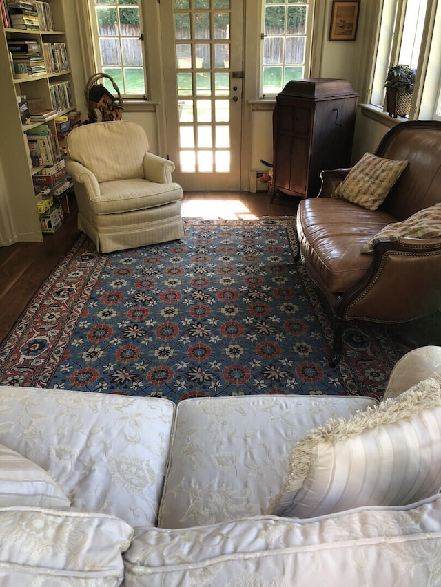 living room with wood-type flooring and a wealth of natural light