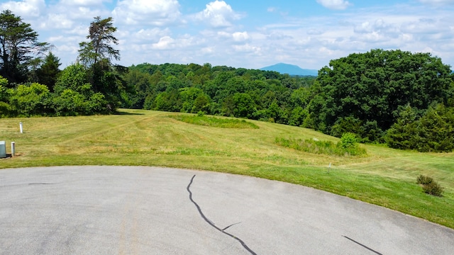 Listing photo 3 for LOT43 Halsey Ct, Wirtz VA 24184