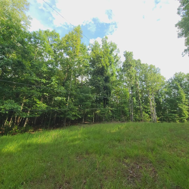TRACT3 Truman Hill Rd, Hardy, VA 24101
