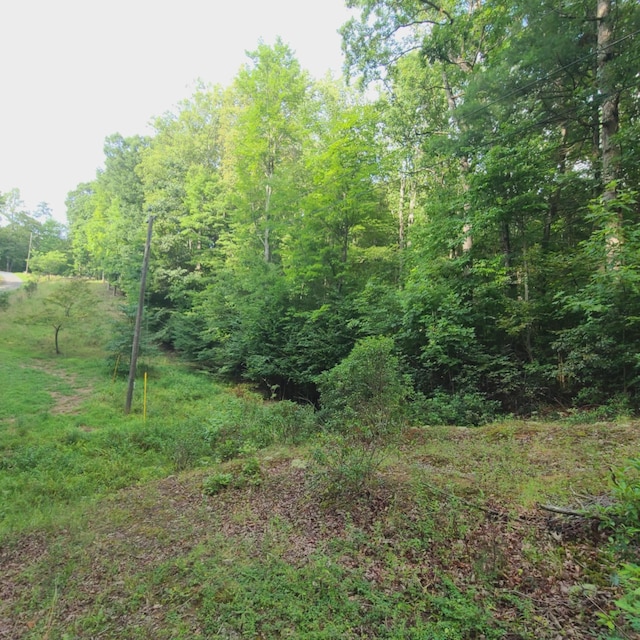 TRACT3 Truman Hill Rd, Hardy, VA 24101