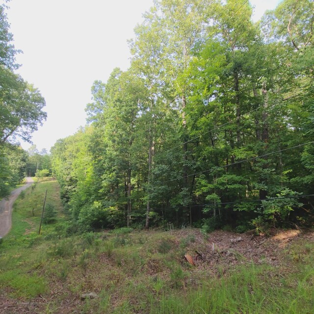 TRACT3 Truman Hill Rd, Hardy, VA 24101
