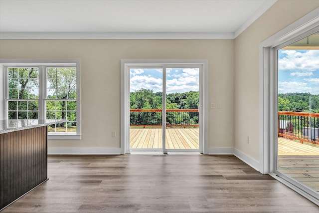 interior space featuring crown molding, plenty of natural light, and hardwood / wood-style flooring