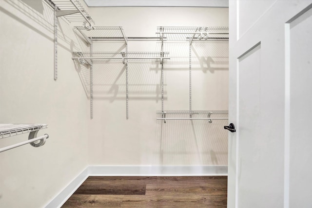 spacious closet with wood-type flooring