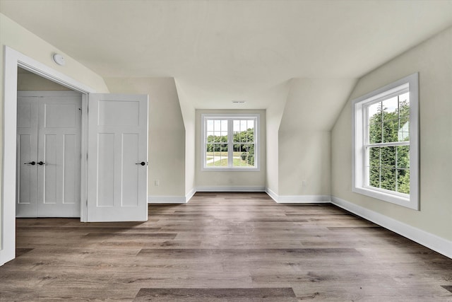 bonus room featuring wood-type flooring and vaulted ceiling