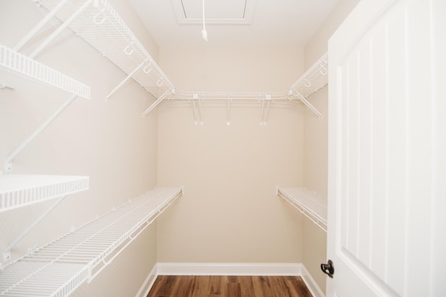 spacious closet with hardwood / wood-style flooring