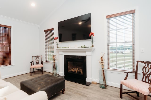 living room with ornamental molding, light hardwood / wood-style flooring, and lofted ceiling