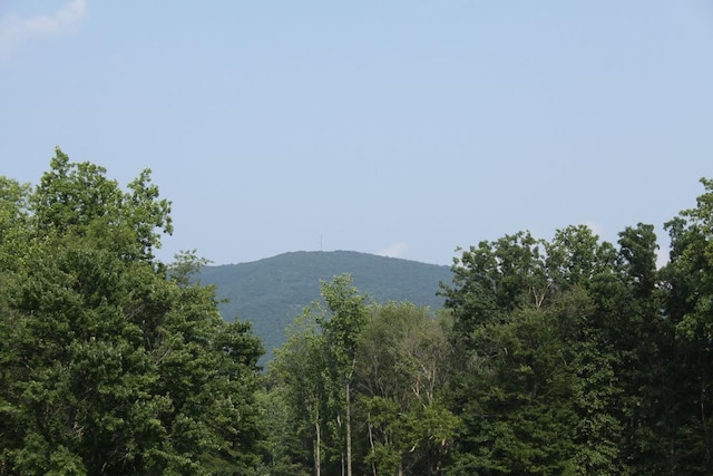 Listing photo 3 for LOT508 S View Cir, Penhook VA 24137