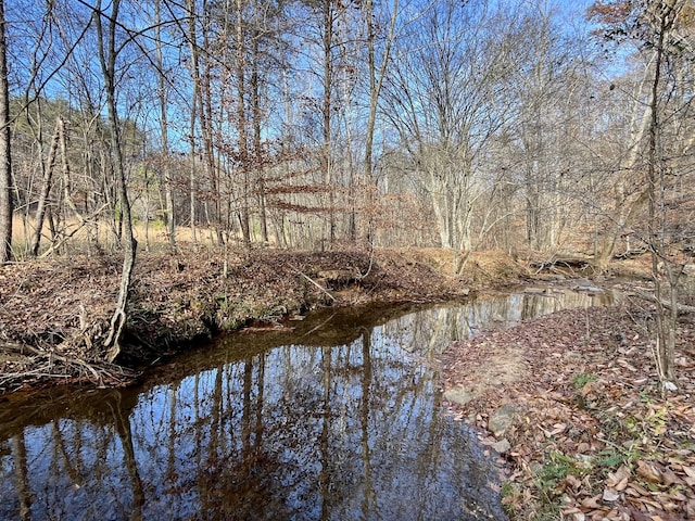 water view featuring a wooded view