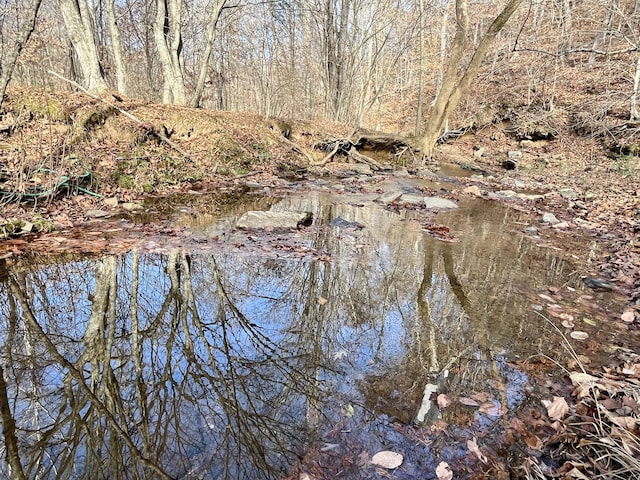 view of landscape featuring a forest view