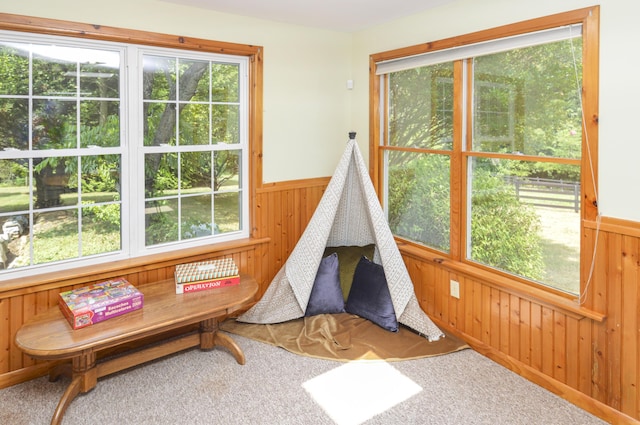 playroom featuring a wealth of natural light, a wainscoted wall, and wooden walls