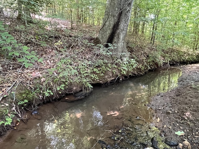 view of local wilderness with a wooded view