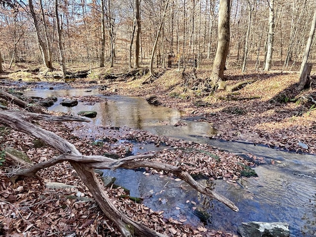 view of nature with a wooded view