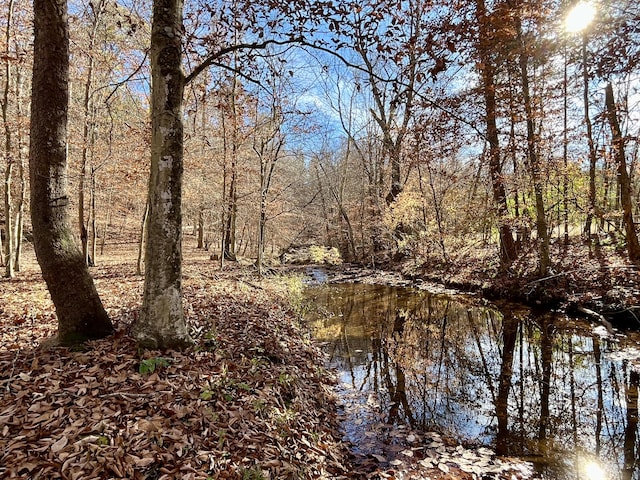 view of nature featuring a wooded view