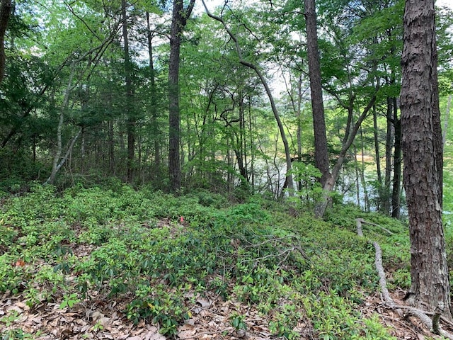 Listing photo 2 for LOT119 Greenberry Dr, Pittsville VA 24139