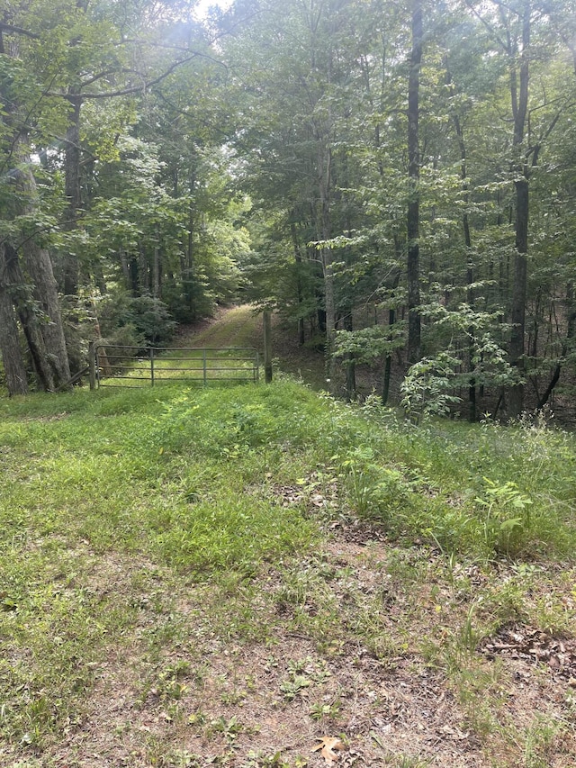 5021 Muddy Fork Rd, Bassett VA, 24055 land for sale