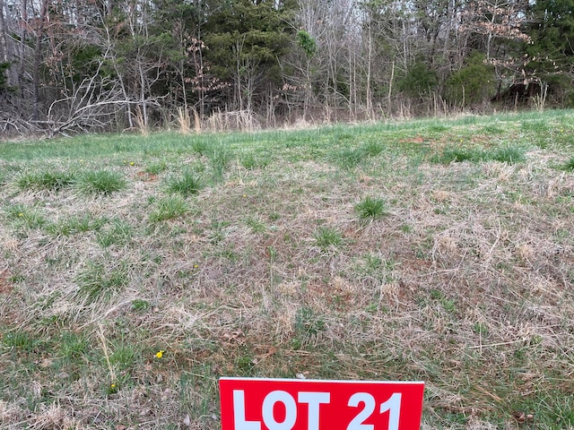 LOT21 Windsor Castle Dr, Moneta VA, 24121 land for sale