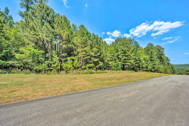 Listing photo 2 for LOT318 Hidden Cove Ln, Lynch Station VA 24571