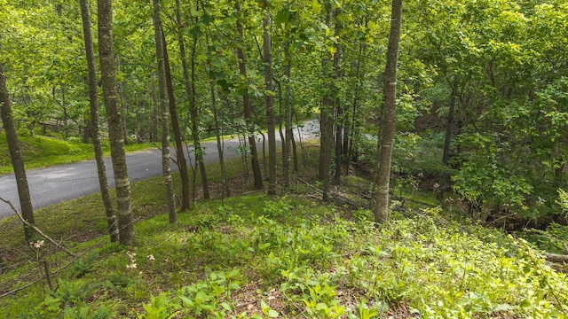 5620 Lost Dr, Roanoke, VA 24018