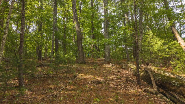 5620 Lost Dr, Roanoke, VA 24018