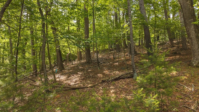 5620 Lost Dr, Roanoke, VA 24018